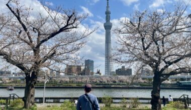 Tokyo Skytree and Sakura