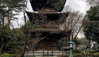 [OC] Gotokuji Temple in Setagaya,Tokyo, last week