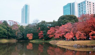 Contrast in Tokyo's Koishikawa Korakuen Gardens [OC]