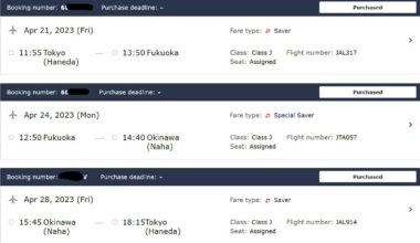 Help with Japan Airlines website showing different dates for domestic flights?