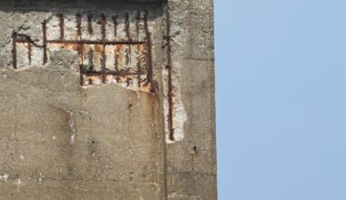 Black kite at Gunkanjima (Nagasaki) [OC]