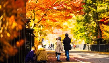 Kakunodate, Akita in autumn.