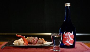 Sake exports set record high, fueled by younger brewers