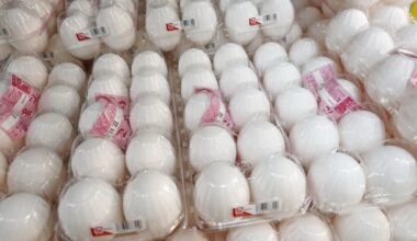 Japan egg prices soar amid record 16 million bird flu cullings