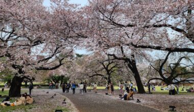 [OC] Shinjuku National Garden (today)