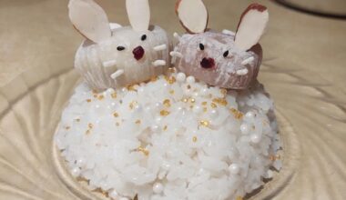 Happy New Year! I made bunny mochi!