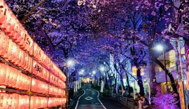 Took this on a street just off Shibuya last night - had to stop on the crossing but I feel it was worth it!