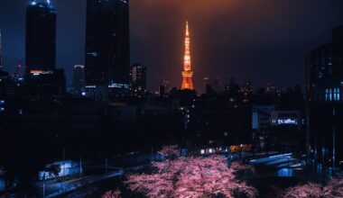 Saturday night at Roppongi