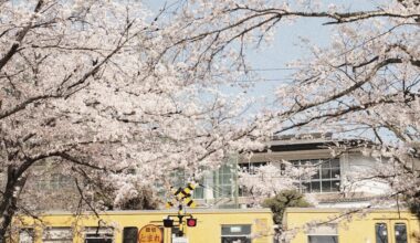 Hakubi Line, Okayama-ken