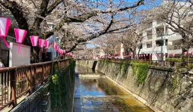 Meguro river