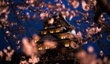 Osaka Castle and cherry blossoms by night, I share my life in Japan on Instagram : axou_in_japan 😁♥️🇯🇵