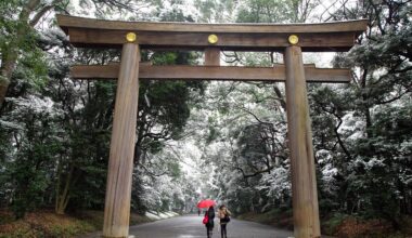 Yoyogi Park Snow 2010