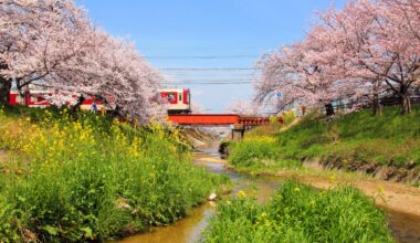 Train crossing at Takada Senbonzakura, one year ago today (Nara-ken)