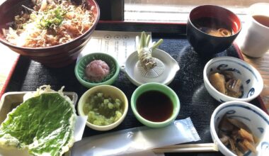 Wasabi bowl and wasabi soft-serve ice cream at Daio Wasabi Farm