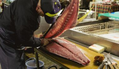 Japanese Fish Market on Film.