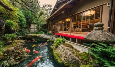 Traditional Japanese Koi Pond in Kyoto Japan.