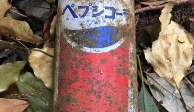 For everyone that says Japan is so clean. I’ve hiked tons of rural paths full of trash. Here’s old vending machine cans.
