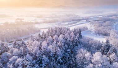 Dawn over home in Shizukuishi, Iwate.