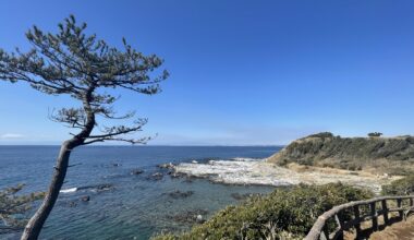 View from Miura Peninsula, in Kanagawa Prefecture. Lots of nice places down there not known by tourists. Video here https://youtu.be/s0oUNirUmOs