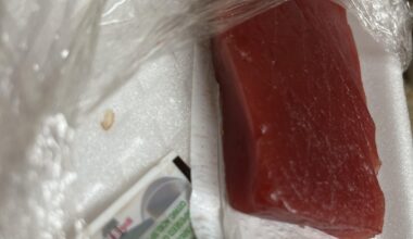 I bought this Bluefin Tuna from a Japanese market to make poke, but I put it in my fridge for two days because I couldn’t make the meal and I don’t know if it’s still fresh…?