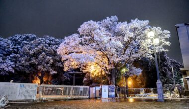 First snow day of last year in Harajuku (January 6, 2022).