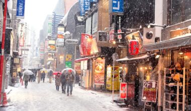 Tokyo Snowstorm, Feb 2014