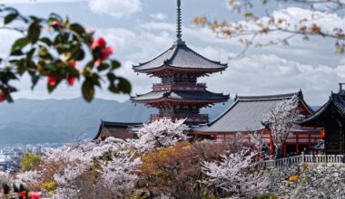 Let's go to Kiyomizu Temple in Kyoto to see cherry blossoms!