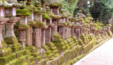 Stone lanterns lining the approach to Kasuga Taisha, 7 years ago today (Nara-ken)