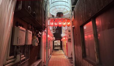 An alley in Dotonburi, Osaka [OC]