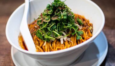 tan tan noodles w/ cilantro