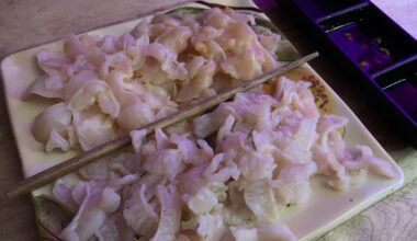 Sashimi style Geoduck and Horse Clam 👩‍🍳 Can you tell which is which? I dug them up in the Puget Sound during a winter low tide.