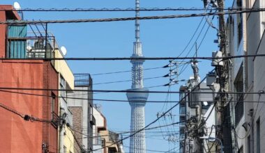 Tokyo Skytree towering above the neighborhood [OC]