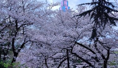 [OC] Docomo Tower from Shinjuku Gyoen National Garden, Mar 28, 2023 - no filter