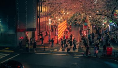 Night Shibuya is a pure magic