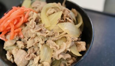 Beef Bowl (Gyudon)