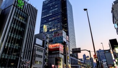 Shinjuku Traffic