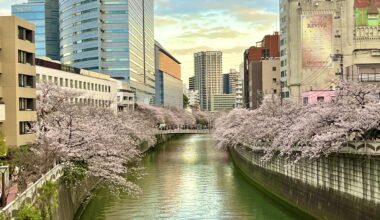 Sunset at Meguro River