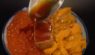 Chutoro Donburi with Uni and Ikura