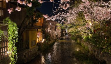 Night cherry blossoms at Gion Shirakawa, Kyoto, April 1, 2023