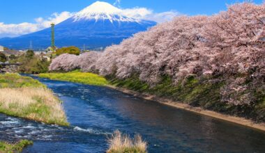 The beauty of Mount Fuji in spring as seen from Takito Bridge, three years ago today (Shizuoka-ken)