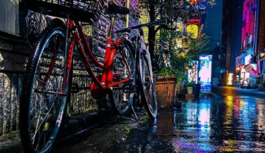 Rainy Asakusa side street