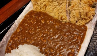 The most tender tonkatsu curry I've ever had (Wakaba, Fukuoka)