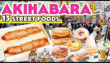 Akihabara Japan / Tokyo Street Food Tour