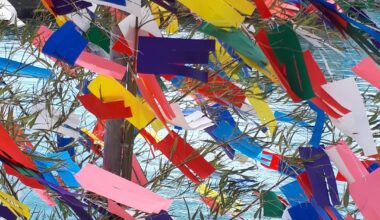 Festival Boat Flags in Wakayama