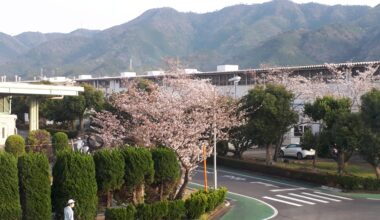 Japanese Factory Grounds in Springtime