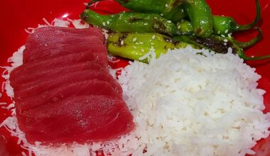 Homemade Sashimi. Akami Maguro (lean Bluefin Tuna), rice, blistered Shishito peppers.