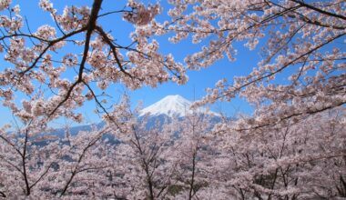 Mount Fuji through the blossoms, one year ago today (Yamanashi-ken)