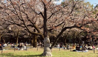 Yoyogi Park last Thursday