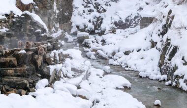 Jigokudani Valley