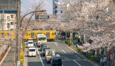 Train crossing in spring in Araiyakushimae, Tokyo